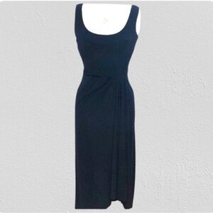 LAUREN RALPH LAUREN Dress NWOT